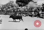 Image of bull fighting Alcochete Portugal, 1953, second 22 stock footage video 65675040157