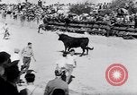 Image of bull fighting Alcochete Portugal, 1953, second 23 stock footage video 65675040157