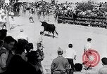 Image of bull fighting Alcochete Portugal, 1953, second 24 stock footage video 65675040157