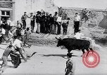Image of bull fighting Alcochete Portugal, 1953, second 26 stock footage video 65675040157
