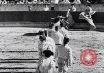 Image of bull fighting Alcochete Portugal, 1953, second 34 stock footage video 65675040157