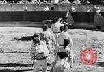 Image of bull fighting Alcochete Portugal, 1953, second 35 stock footage video 65675040157