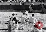 Image of bull fighting Alcochete Portugal, 1953, second 36 stock footage video 65675040157
