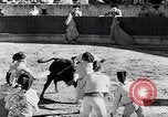 Image of bull fighting Alcochete Portugal, 1953, second 37 stock footage video 65675040157