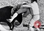 Image of bull fighting Alcochete Portugal, 1953, second 39 stock footage video 65675040157