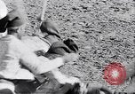 Image of bull fighting Alcochete Portugal, 1953, second 41 stock footage video 65675040157