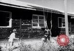 Image of parachutists France, 1953, second 48 stock footage video 65675040162