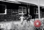 Image of parachutists France, 1953, second 49 stock footage video 65675040162