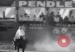 Image of cowboys at rodeo Pendleton Oregon USA, 1953, second 19 stock footage video 65675040164