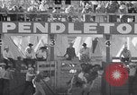 Image of cowboys at rodeo Pendleton Oregon USA, 1953, second 26 stock footage video 65675040164