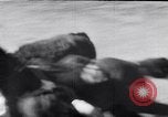 Image of cowboys at rodeo Pendleton Oregon USA, 1953, second 55 stock footage video 65675040164