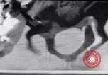 Image of cowboys at rodeo Pendleton Oregon USA, 1953, second 56 stock footage video 65675040164