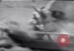 Image of cowboys at rodeo Pendleton Oregon USA, 1953, second 58 stock footage video 65675040164