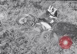 Image of United States Hill Climbing Title New Hampshire United States USA, 1953, second 22 stock footage video 65675040165