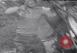 Image of United States Hill Climbing Title New Hampshire United States USA, 1953, second 28 stock footage video 65675040165