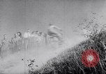 Standbild Biker Paris Frankreich, 1953, aus Sekunde 12 historischem Filmmaterial Videoclip 65675040166