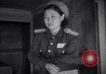 Immagine di Negoziati di tregua Kaesong Corea, 1951, secondo 8 filmato di repertorio 65675040184