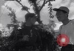 Immagine di Negoziati di tregua Kaesong Corea, 1951, secondo 38 filmato di repertorio 65675040184