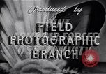 Standbild Motorboot United States USA, 1944, aus Sekunde 47 historischem Filmmaterial Videoclip 65675040187