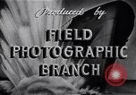 Standbild Motorboot United States USA, 1944, aus Sekunde 49 historischem Filmmaterial Videoclip 65675040187