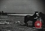 Image of Air attack alert system in rural area of Soviet Union Soviet Union, 1941, second 35 stock footage video 65675040195