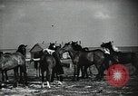 Image of Air attack alert system in rural area of Soviet Union Soviet Union, 1941, second 38 stock footage video 65675040195