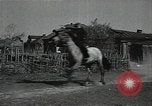 Image of Air attack alert system in rural area of Soviet Union Soviet Union, 1941, second 46 stock footage video 65675040195