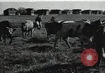 Image of Air attack alert system in rural area of Soviet Union Soviet Union, 1941, second 51 stock footage video 65675040195