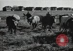 Image of Air attack alert system in rural area of Soviet Union Soviet Union, 1941, second 52 stock footage video 65675040195