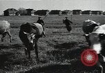 Image of Air attack alert system in rural area of Soviet Union Soviet Union, 1941, second 53 stock footage video 65675040195