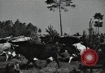 Image of Air attack alert system in rural area of Soviet Union Soviet Union, 1941, second 57 stock footage video 65675040195