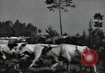 Image of Air attack alert system in rural area of Soviet Union Soviet Union, 1941, second 58 stock footage video 65675040195