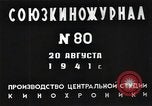 Image of camouflaged antiaircraft battery Soviet Union, 1941, second 12 stock footage video 65675040196