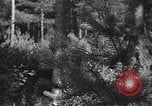 Image of German Army deserter surrenders Soviet Union, 1941, second 10 stock footage video 65675040197