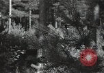 Image of German Army deserter surrenders Soviet Union, 1941, second 11 stock footage video 65675040197