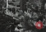 Image of German Army deserter surrenders Soviet Union, 1941, second 12 stock footage video 65675040197