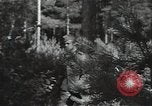 Image of German Army deserter surrenders Soviet Union, 1941, second 14 stock footage video 65675040197
