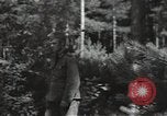 Image of German Army deserter surrenders Soviet Union, 1941, second 15 stock footage video 65675040197