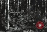 Image of German Army deserter surrenders Soviet Union, 1941, second 23 stock footage video 65675040197
