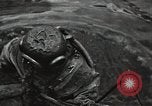 Image of Soviet soldiers use cables to recover German aircraft wreckage from a river Soviet Union, 1941, second 16 stock footage video 65675040198