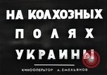 Image of Elderly Soviet men stand guard in rural village Soviet Union, 1941, second 5 stock footage video 65675040200