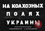 Image of Elderly Soviet men stand guard in rural village Soviet Union, 1941, second 6 stock footage video 65675040200