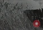 Image of Elderly Soviet men stand guard in rural village Soviet Union, 1941, second 32 stock footage video 65675040200