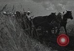 Image of Elderly Soviet men stand guard in rural village Soviet Union, 1941, second 33 stock footage video 65675040200