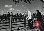 Image Home Guard Républiques Cosaques train dans Seconde Guerre Mondiale L'Union soviétique, 1941, de la seconde 29 séquences d'archives historiques vidéo 65675040201