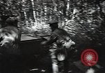 Image of Soviet forces counter German forces in Operation Barbarossa Soviet Union, 1941, second 61 stock footage video 65675040202