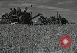 Standbild Weizenfeld Sowjetunion, 1941, aus Sekunde 14 historischem Filmmaterial Videoclip 65675040204