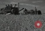 Standbild Weizenfeld Sowjetunion, 1941, aus Sekunde 15 historischem Filmmaterial Videoclip 65675040204