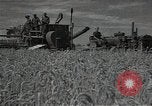 Standbild Weizenfeld Sowjetunion, 1941, aus Sekunde 16 historischem Filmmaterial Videoclip 65675040204