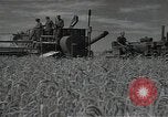 Standbild Weizenfeld Sowjetunion, 1941, aus Sekunde 17 historischem Filmmaterial Videoclip 65675040204